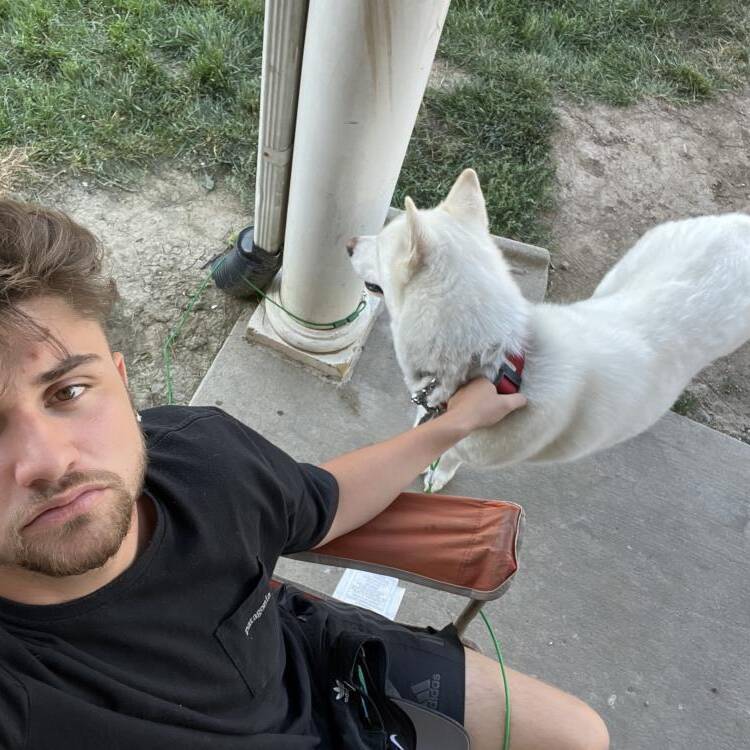Foto de perfil