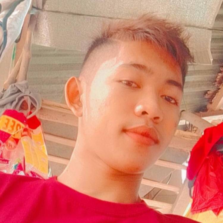 Foto de perfil de Joebert Del Rosario
