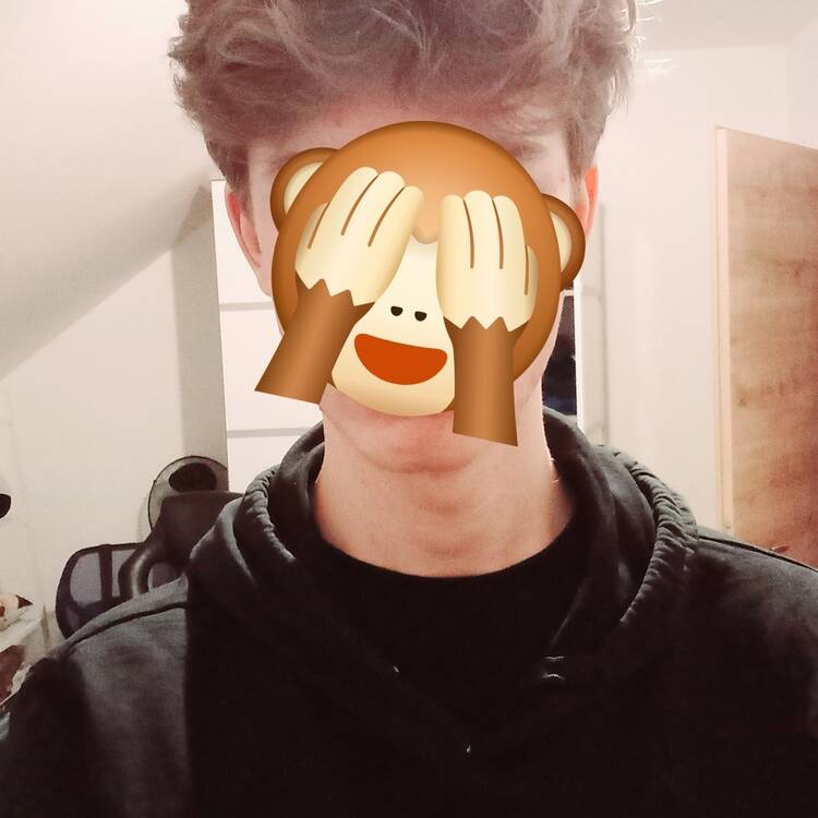 Foto de perfil de Mirko