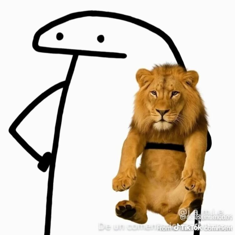 Foto de perfil de Jeff