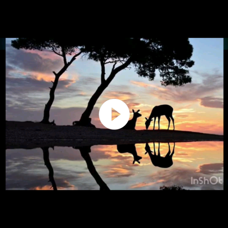Foto de perfil de kadar22
