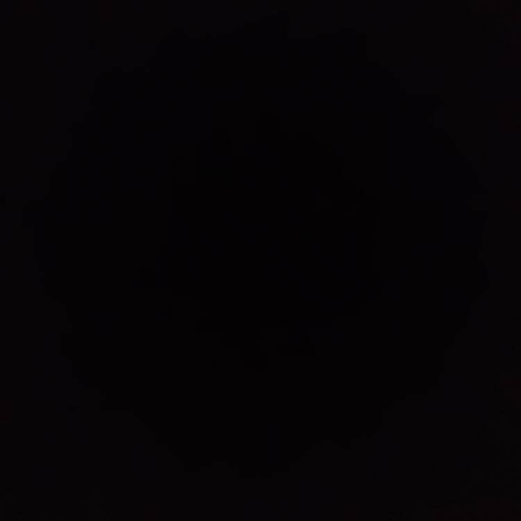 Foto de perfil de Devon