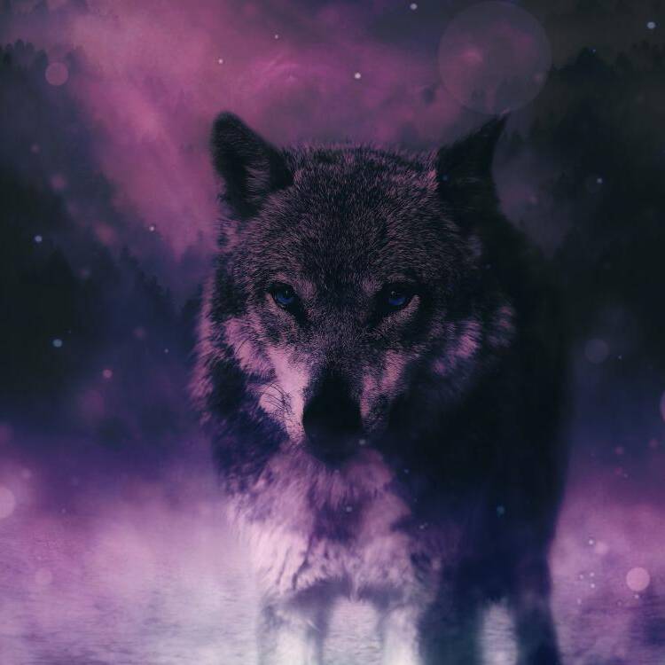 Foto de perfil de Beherit_Stark
