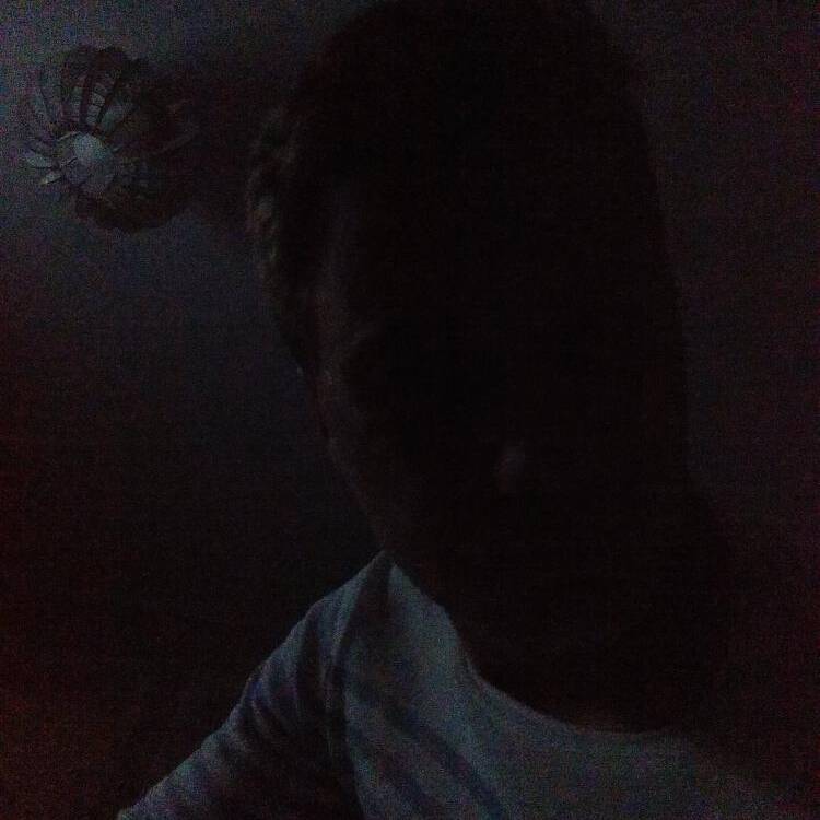Foto de perfil de Erik