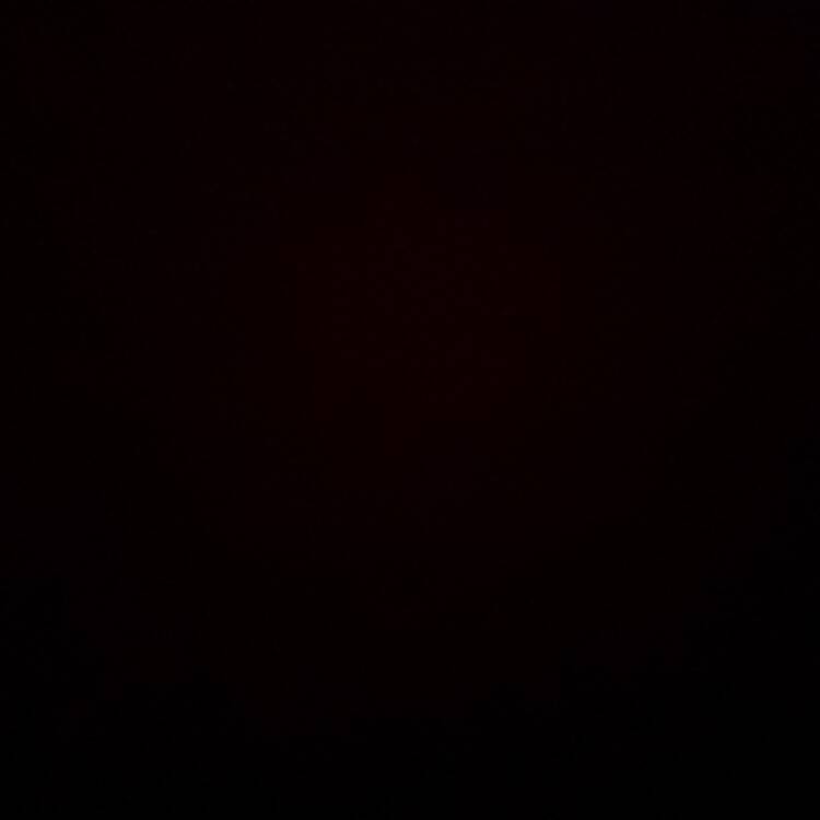 Foto de perfil de Danny